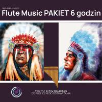 Flute Music PAKIET 6 godzin mp3 PENDRIVE